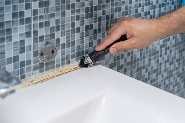 Best Kitchen Mold Remediation in Beardstown, IL