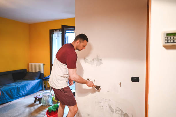 Best Health and Safety Mold Remediation in Beardstown, IL